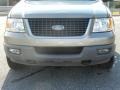 2003 Arizona Beige Metallic Ford Expedition XLT 4x4  photo #10