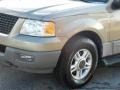2003 Arizona Beige Metallic Ford Expedition XLT 4x4  photo #11