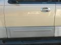 2003 Arizona Beige Metallic Ford Expedition XLT 4x4  photo #13