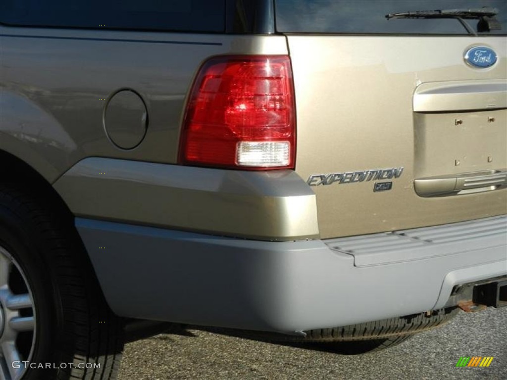 2003 Expedition XLT 4x4 - Arizona Beige Metallic / Medium Parchment photo #16