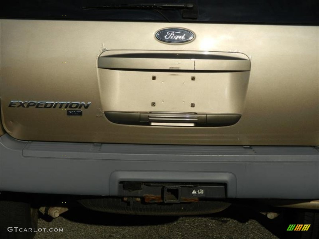 2003 Expedition XLT 4x4 - Arizona Beige Metallic / Medium Parchment photo #17