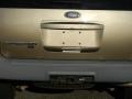 2003 Arizona Beige Metallic Ford Expedition XLT 4x4  photo #17