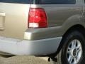 2003 Arizona Beige Metallic Ford Expedition XLT 4x4  photo #18