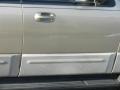 2003 Arizona Beige Metallic Ford Expedition XLT 4x4  photo #21