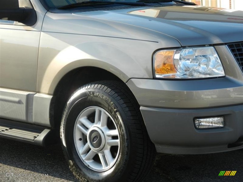 2003 Expedition XLT 4x4 - Arizona Beige Metallic / Medium Parchment photo #23