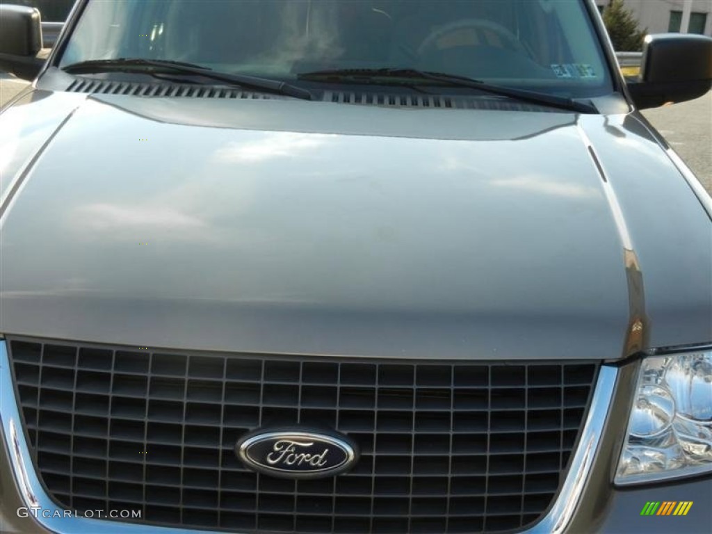 2003 Expedition XLT 4x4 - Arizona Beige Metallic / Medium Parchment photo #24