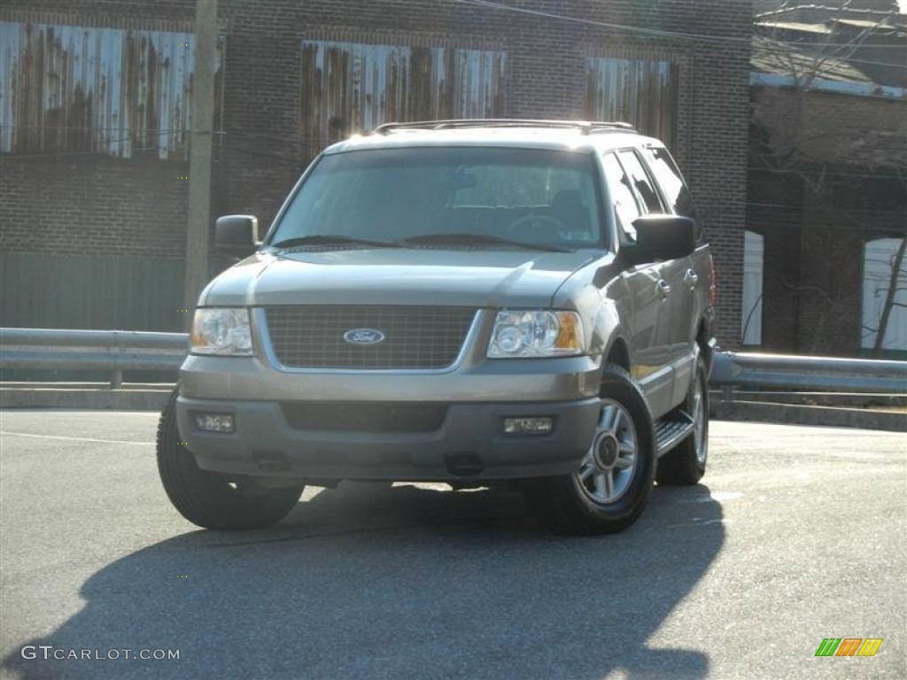 2003 Expedition XLT 4x4 - Arizona Beige Metallic / Medium Parchment photo #26