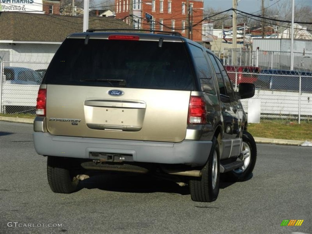 2003 Expedition XLT 4x4 - Arizona Beige Metallic / Medium Parchment photo #27