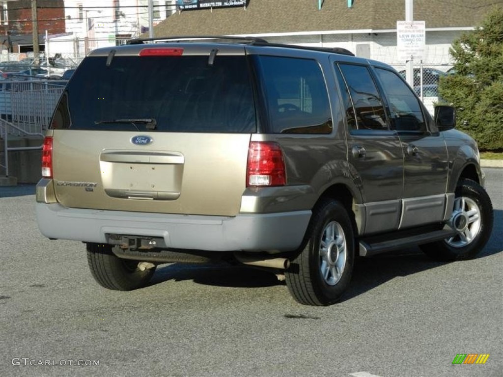 2003 Expedition XLT 4x4 - Arizona Beige Metallic / Medium Parchment photo #28
