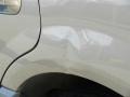 2003 Arizona Beige Metallic Ford Expedition XLT 4x4  photo #30