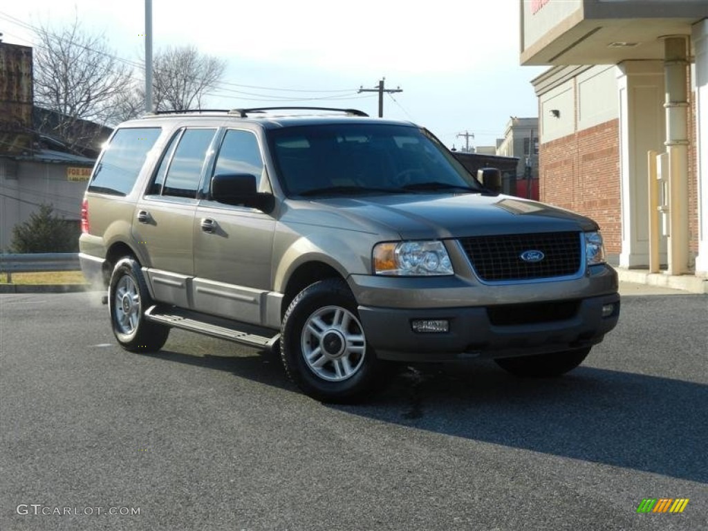2003 Expedition XLT 4x4 - Arizona Beige Metallic / Medium Parchment photo #31
