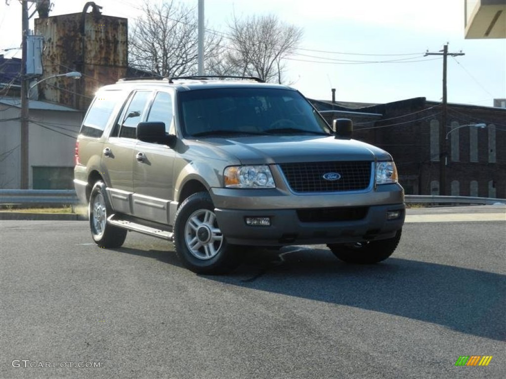 2003 Expedition XLT 4x4 - Arizona Beige Metallic / Medium Parchment photo #32