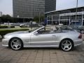 Iridium Silver Metallic - SL 550 Roadster Photo No. 9