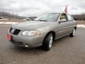 2004 Bronze Shimmer Nissan Sentra 1.8 S  photo #11