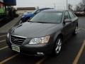 Willow Gray 2010 Hyundai Sonata SE V6