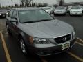Steel Gray - Sonata SE V6 Photo No. 9