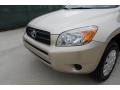 Savannah Metallic - RAV4 I4 Photo No. 10