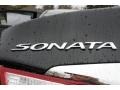 Midnight Black - Sonata GLS Photo No. 15
