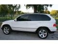 Alpine White - X5 4.4i Photo No. 4