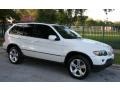 Alpine White - X5 4.4i Photo No. 15
