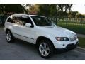 2005 Alpine White BMW X5 4.4i  photo #16