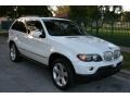 Alpine White - X5 4.4i Photo No. 17