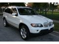 2005 Alpine White BMW X5 4.4i  photo #18