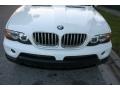 Alpine White - X5 4.4i Photo No. 19