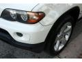 Alpine White - X5 4.4i Photo No. 23