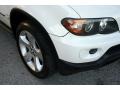 2005 Alpine White BMW X5 4.4i  photo #24