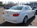 Alpine White - 5 Series 528xi Sedan Photo No. 5