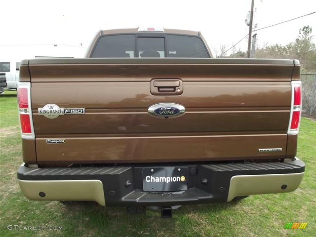 2012 F150 King Ranch SuperCrew 4x4 - Golden Bronze Metallic / King Ranch Chaparral Leather photo #5