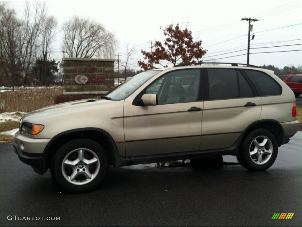 2001 X5 3.0i - Pearl Beige Metallic / Beige photo #1