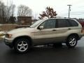 Pearl Beige Metallic - X5 3.0i Photo No. 1