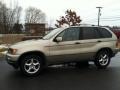 2001 Pearl Beige Metallic BMW X5 3.0i  photo #1