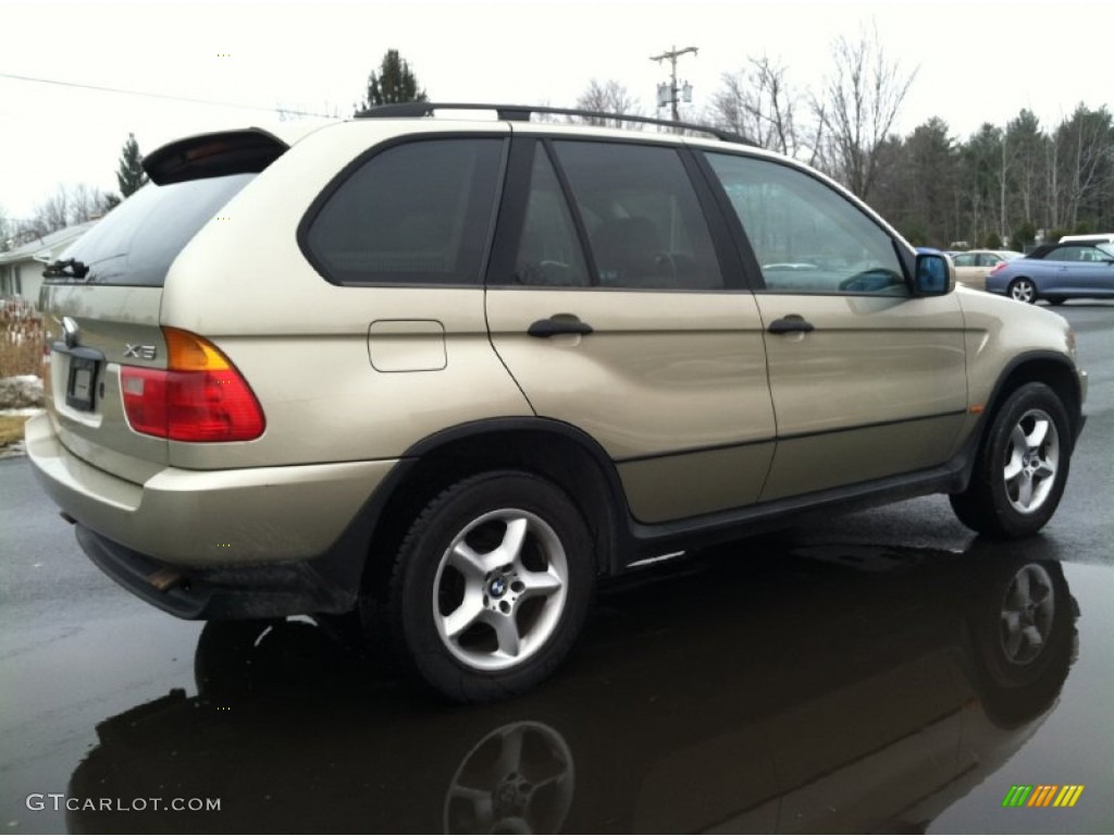 Pearl Beige Metallic 2001 BMW X5 3.0i Exterior Photo #60122972