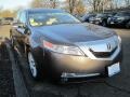 Grigio Gray Metallic - TL 3.5 Photo No. 3