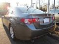 Polished Metal Metallic - TSX Sedan Photo No. 6