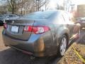 Polished Metal Metallic - TSX Sedan Photo No. 8