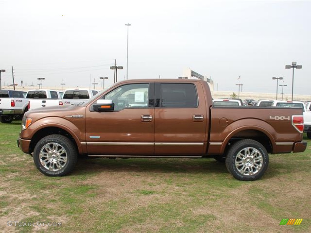 2012 F150 Platinum SuperCrew 4x4 - Golden Bronze Metallic / Platinum Sienna Brown/Black Leather photo #4