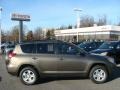  2009 RAV4 4WD Pyrite Mica
