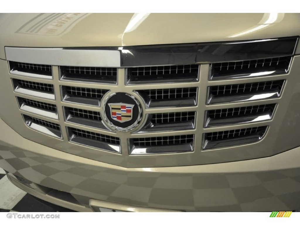 2007 Escalade  - Gold Mist / Cocoa/Light Cashmere photo #42