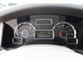 Stone Gauges Photo for 2007 Ford Expedition #60133824