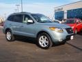 2007 Platinum Sage Hyundai Santa Fe SE  photo #2