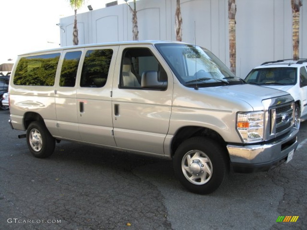 2010 E Series Van E350 XLT Passenger - Ingot Silver Metallic / Medium Flint photo #1