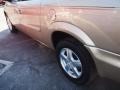 Linen Gold Metallic - Grand Caravan SXT Photo No. 4