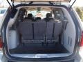Linen Gold Metallic - Grand Caravan SXT Photo No. 5
