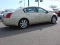 Champagne Mist Metallic - Maxima 3.5 SL Photo No. 5