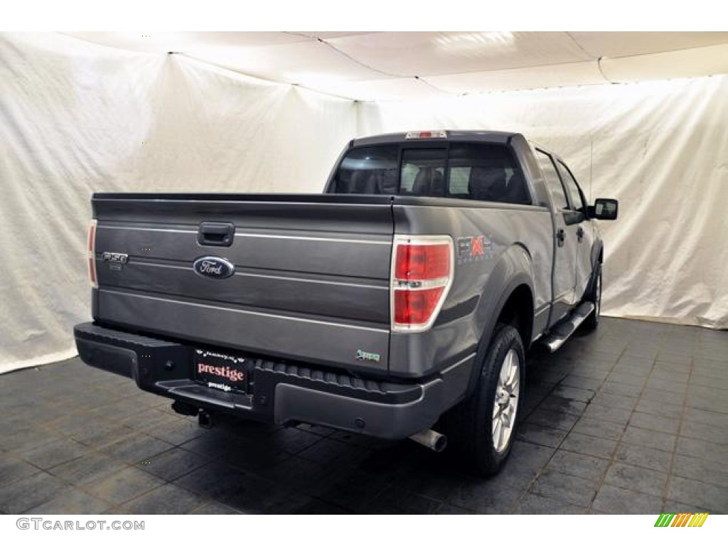 2010 F150 FX4 SuperCrew 4x4 - Sterling Grey Metallic / Black photo #2