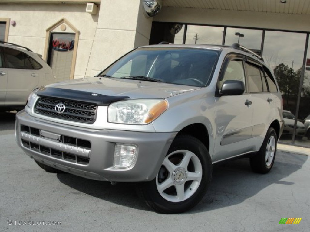 2002 RAV4  - Titanium Metallic / Gray photo #1